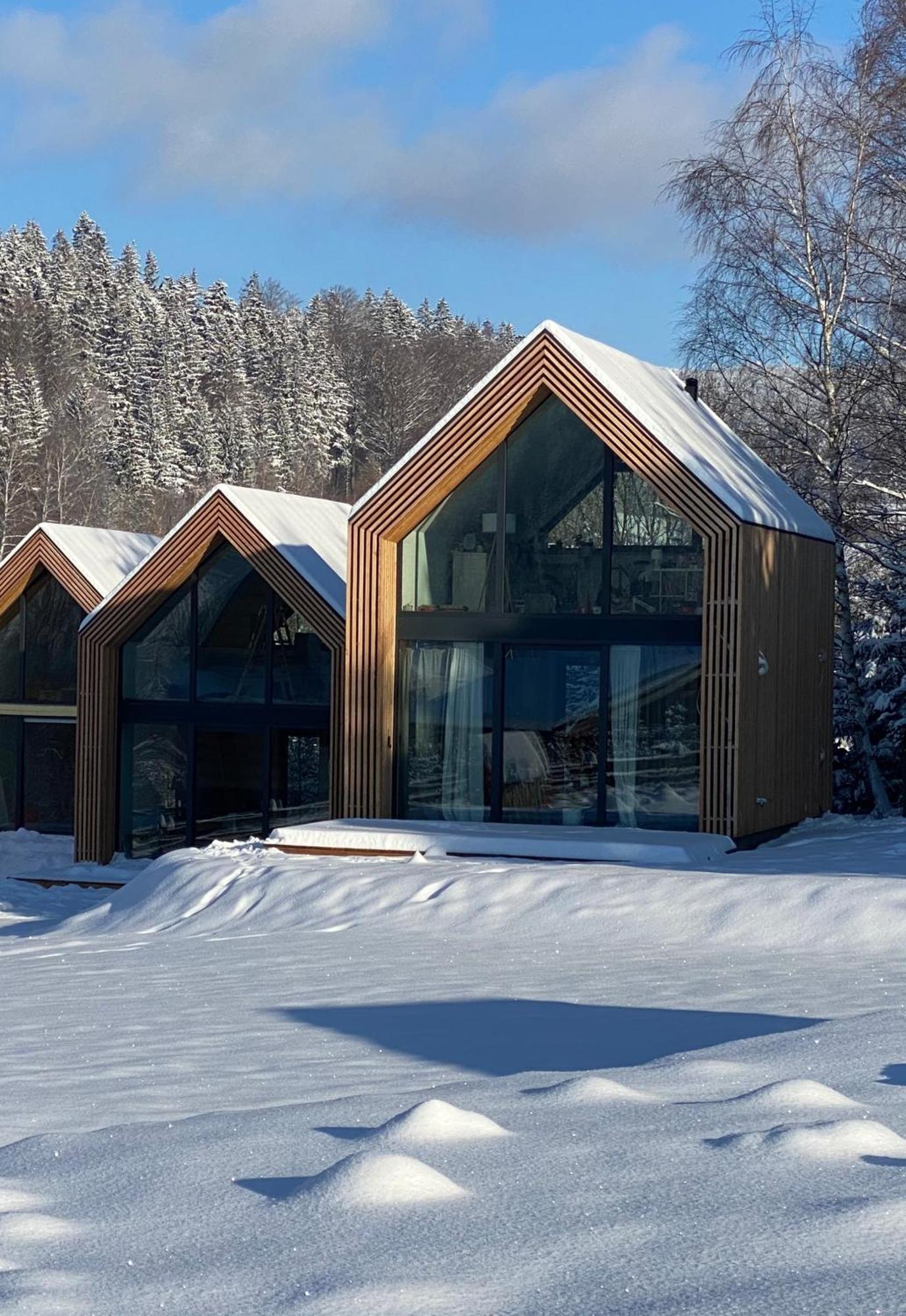 Domki Pod Lasem - Domek Brzozowy Stronie Slaskie Exterior photo